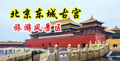 91好先生tv污免费下载中国北京-东城古宫旅游风景区